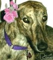 roseearthumbnail.jpg