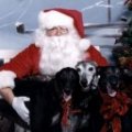 santapaws.jpg (5514 bytes)