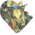 timeheartthumbnail.jpg border=