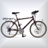 bikebutton.jpg (5636 bytes)