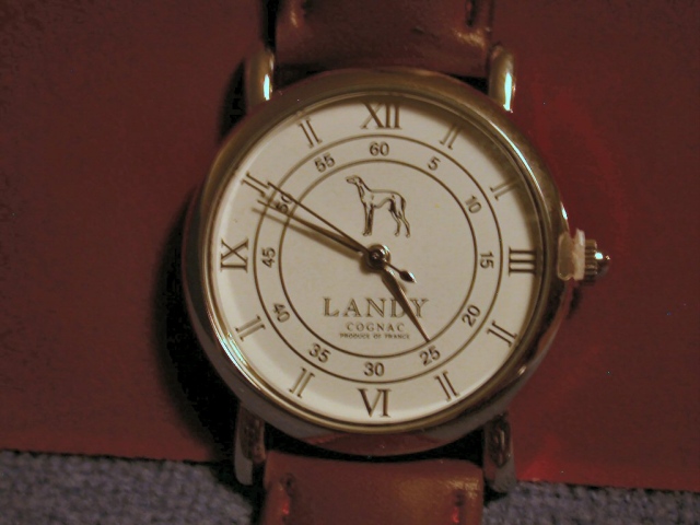 watchface.jpg (99718 bytes)