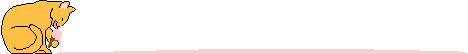 orangekittybar.gif (1597 bytes)