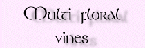 susiemultifloral.gif (4942 bytes)